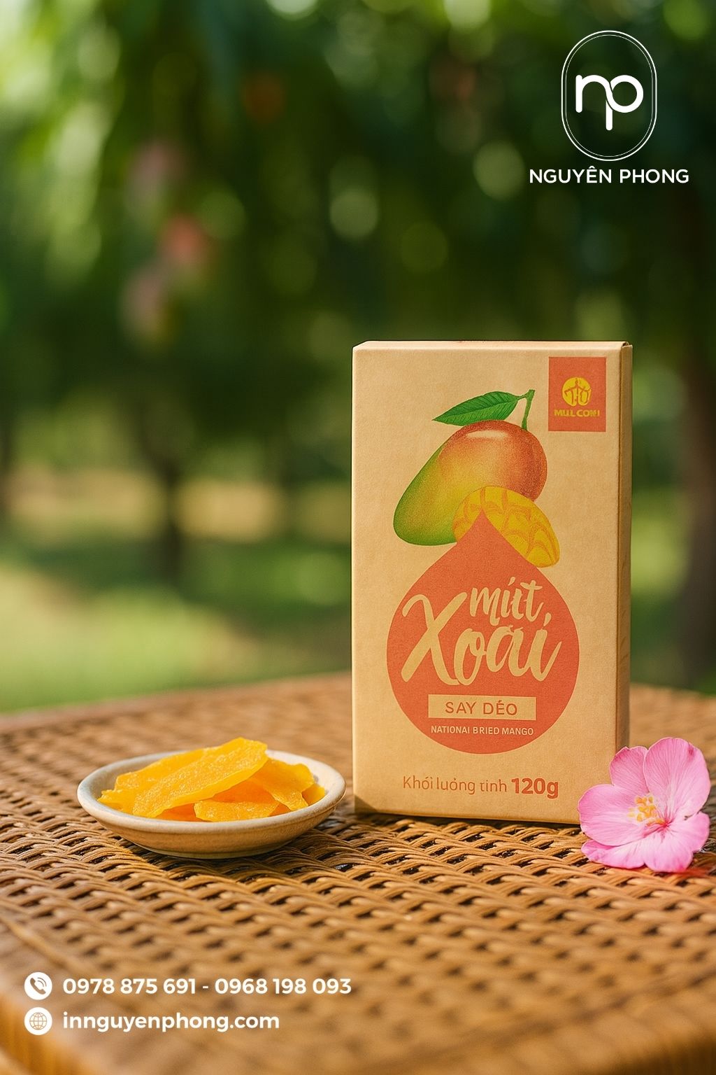 Mẫu hộp giấy đựng mứt xoài